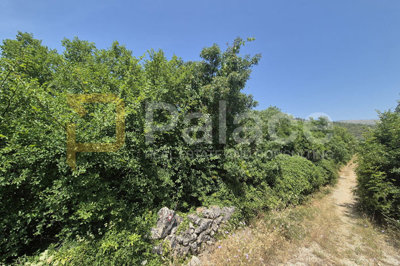 poljoprivredno-neobradjeno-zemljiste-2607-m2_4