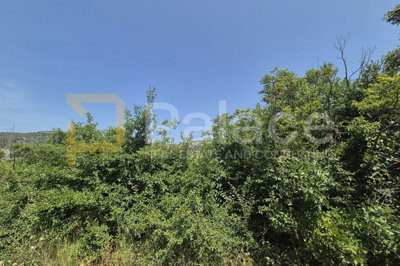 poljoprivredno-neobradjeno-zemljiste-2607-m2_6