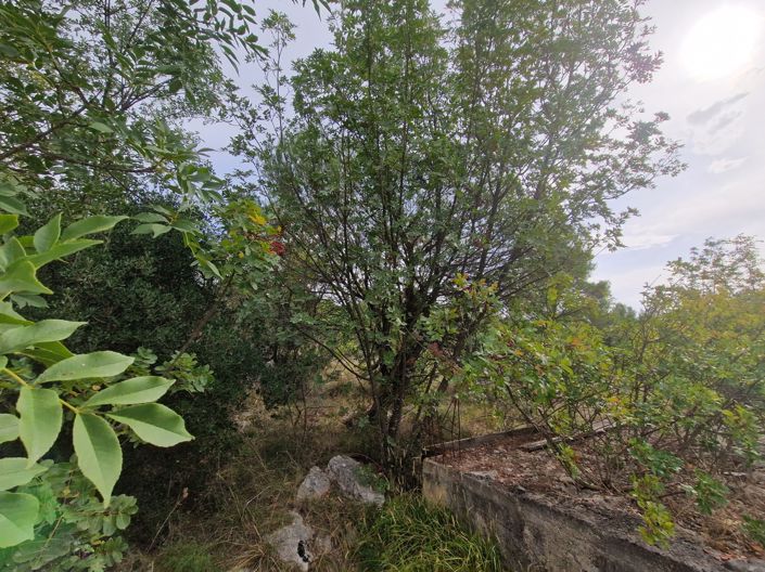 Image No.5-Plot for sale