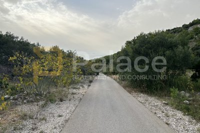 zemljiste-s-maslinama-i-pogledom-na-more_1