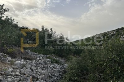 zemljiste-s-maslinama-i-pogledom-na-more_7