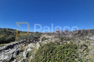 poljoprivredno-zemljiste-u-primostenu-4-584-m2_5