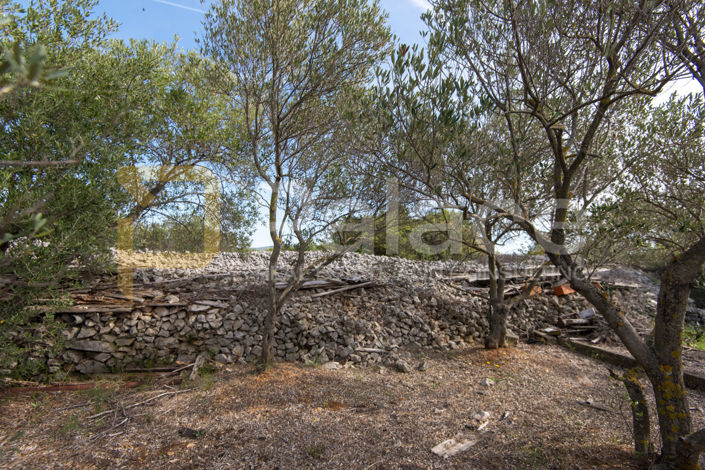 Image No.4-Casa con 2 dormitorios en venta
