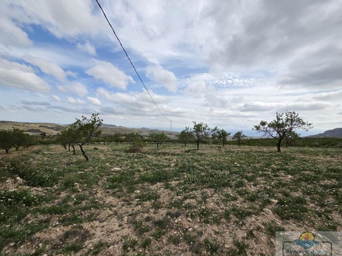 Image No.5-Land for sale