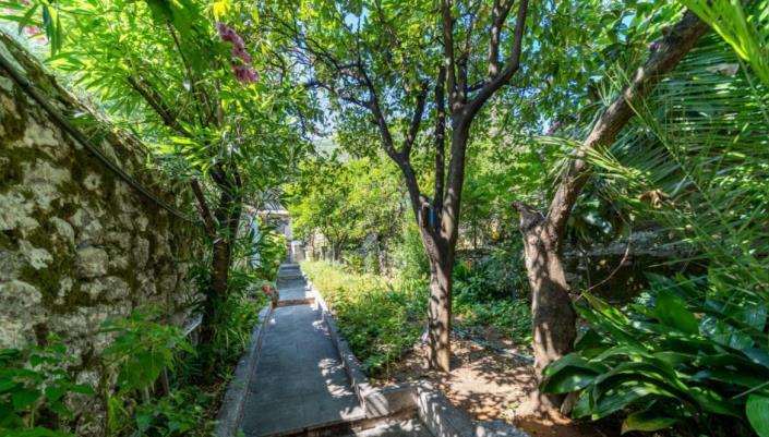 Image No.7-5 Bed House for sale